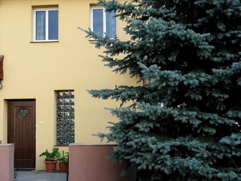 Apartamenty Stajni Jazon Malbork Bagian luar foto