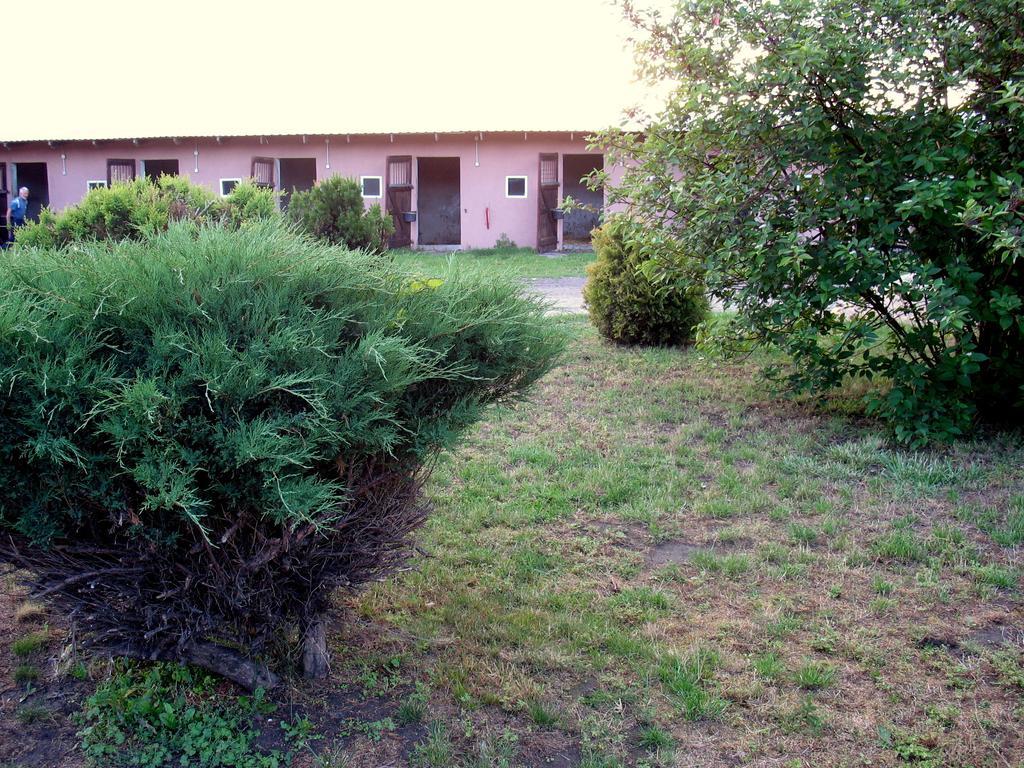 Apartamenty Stajni Jazon Malbork Bagian luar foto