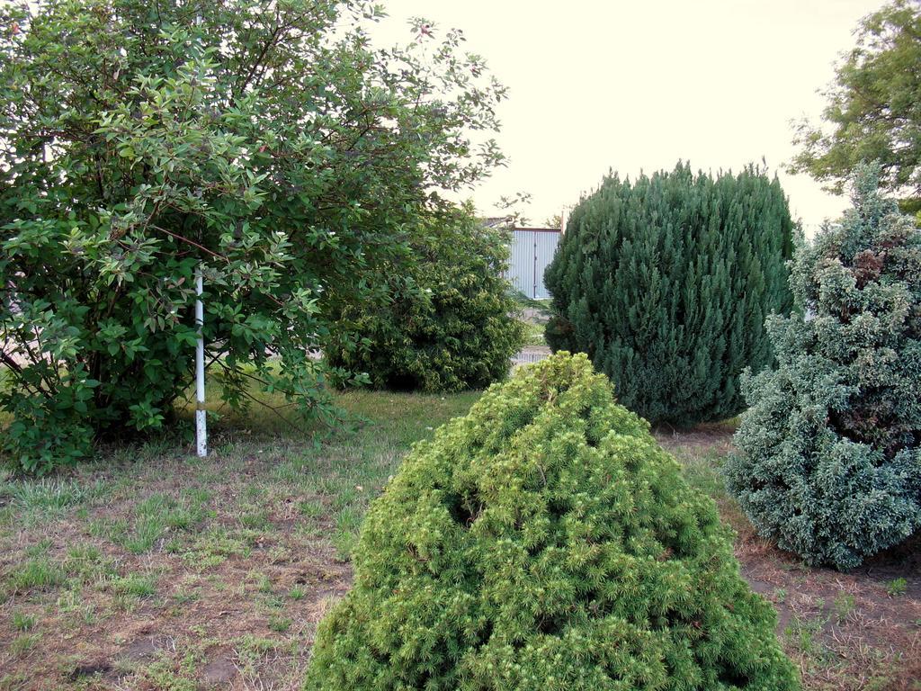 Apartamenty Stajni Jazon Malbork Bagian luar foto