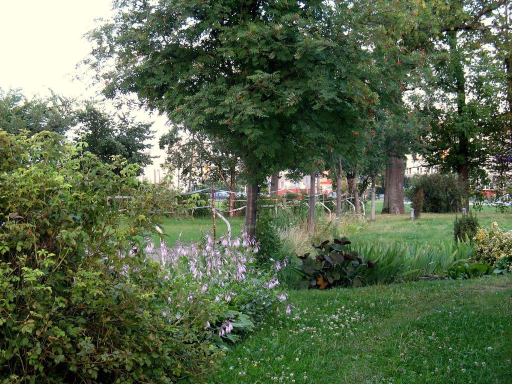 Apartamenty Stajni Jazon Malbork Bagian luar foto