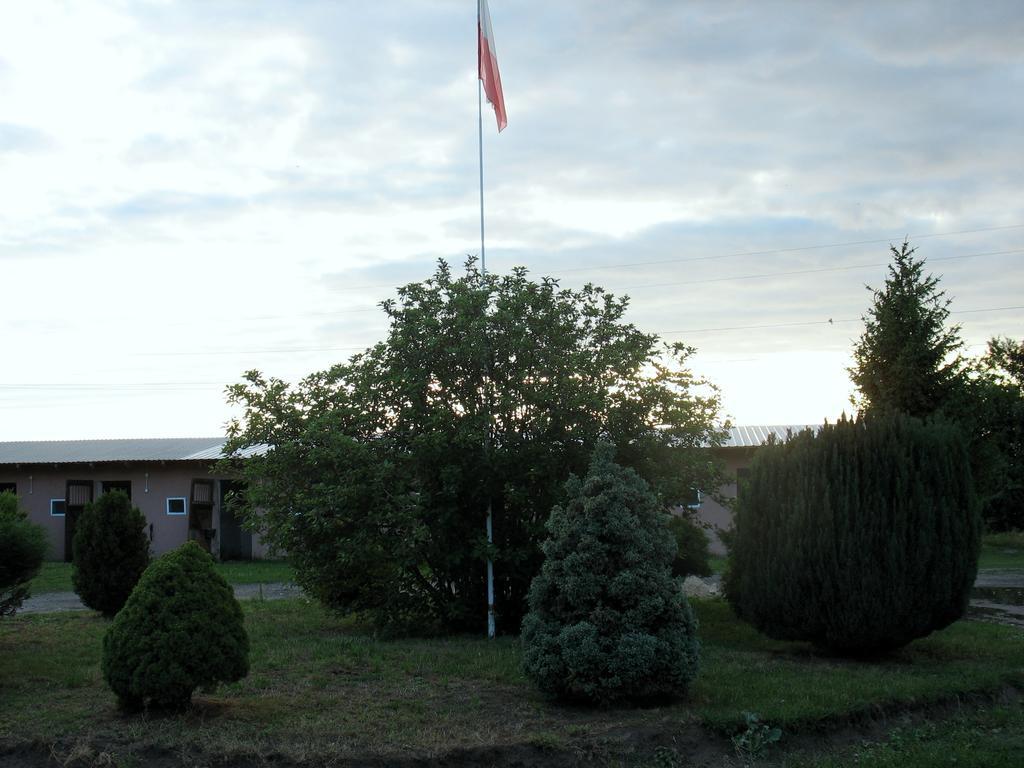Apartamenty Stajni Jazon Malbork Bagian luar foto