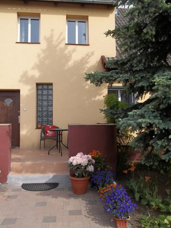 Apartamenty Stajni Jazon Malbork Bagian luar foto