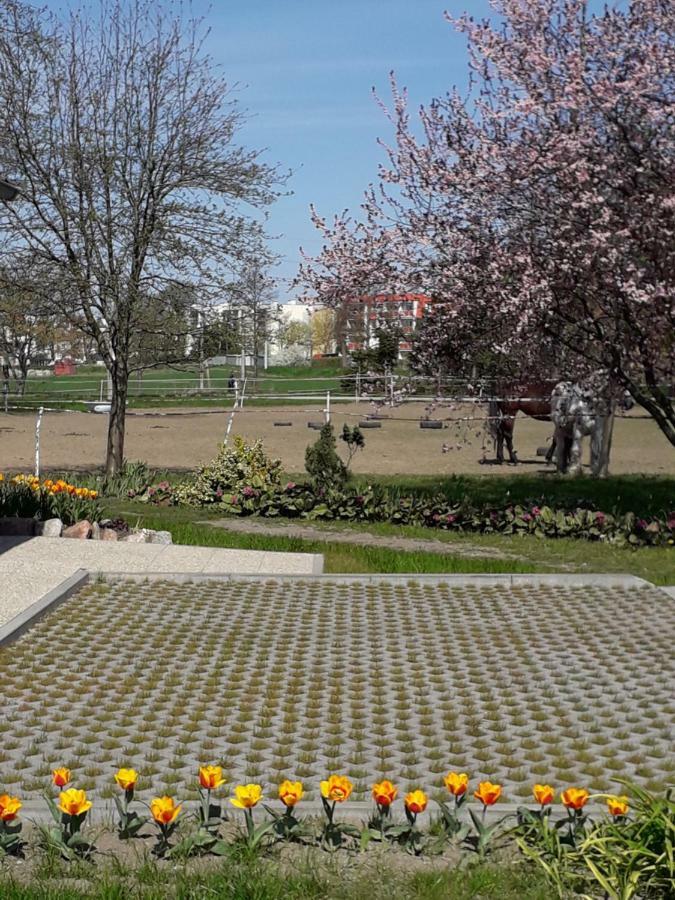 Apartamenty Stajni Jazon Malbork Bagian luar foto